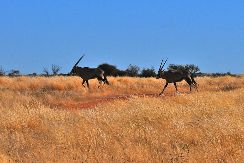 Namibia
